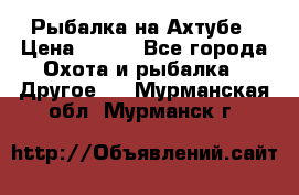 Рыбалка на Ахтубе › Цена ­ 500 - Все города Охота и рыбалка » Другое   . Мурманская обл.,Мурманск г.